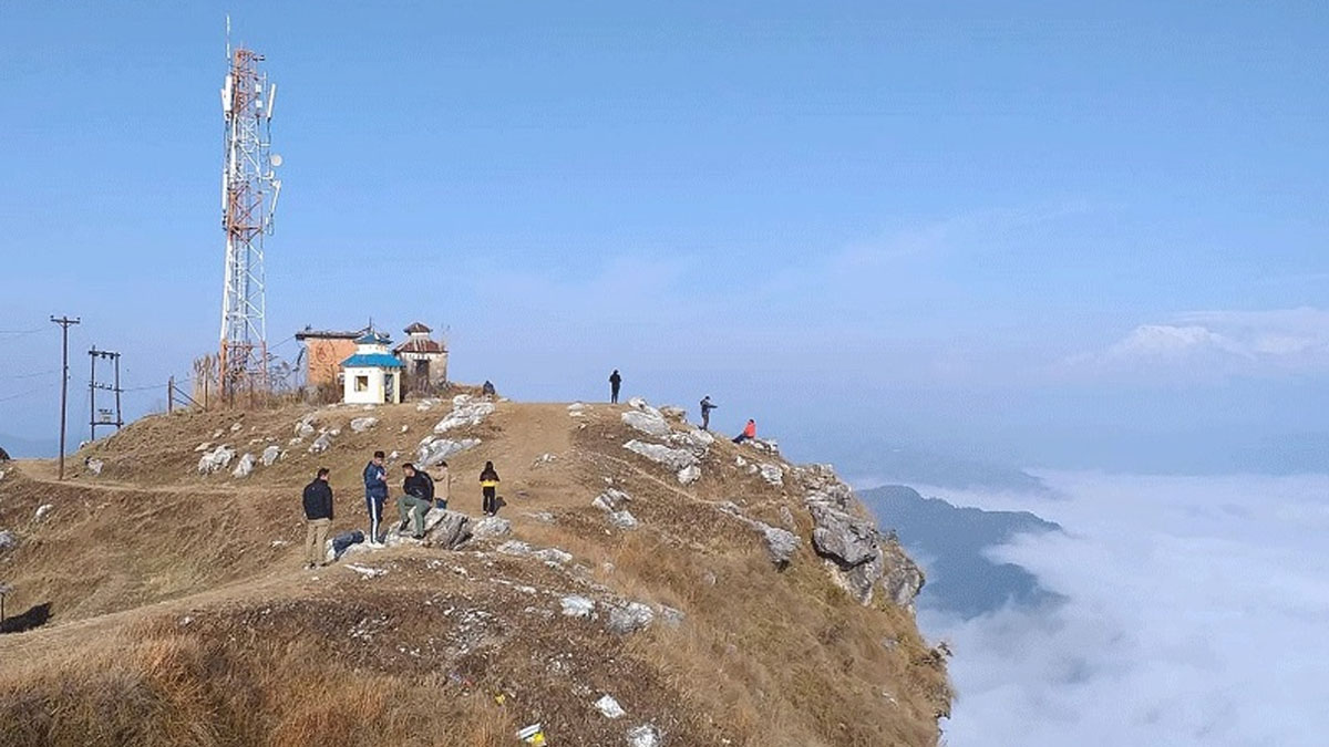 manukot 11666921233.jpg